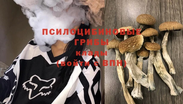 ECSTASY Наволоки