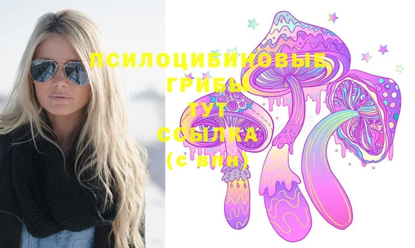 винт Медвежьегорск