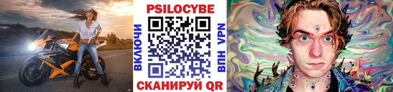 дарк нет как зайти  Калач  Псилоцибиновые грибы прущие грибы 